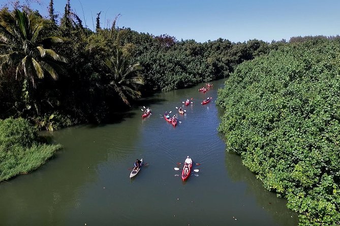 Hanalei Bay Morning Kayak and Snorkel Tour - Snorkeling from the beach for 45 minutes