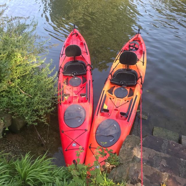 Heidelberg: 2-Hour Kayak Tour - The $81 Price and What You Receive