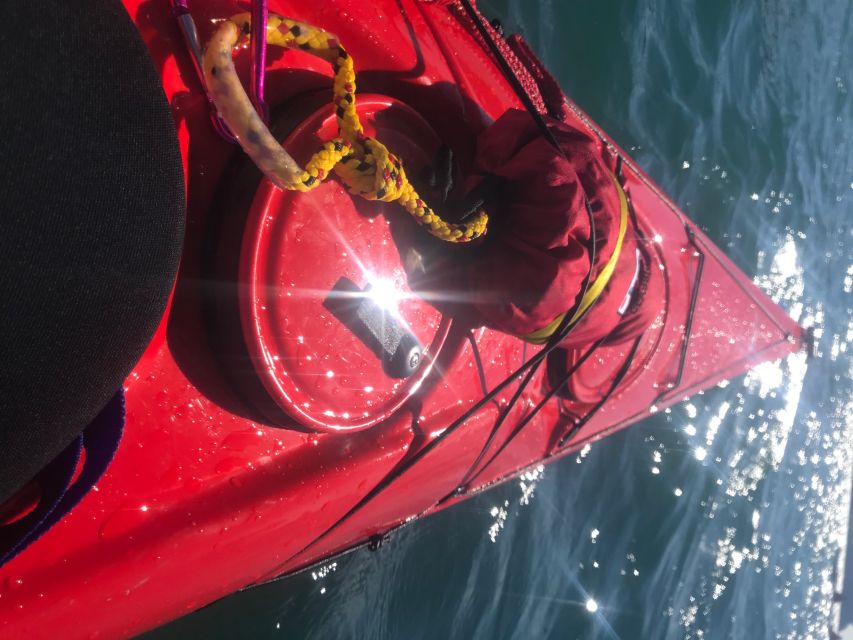 Heidelberg: 2-Hour Kayak Tour - Booking Flexibility and Practical Planning
