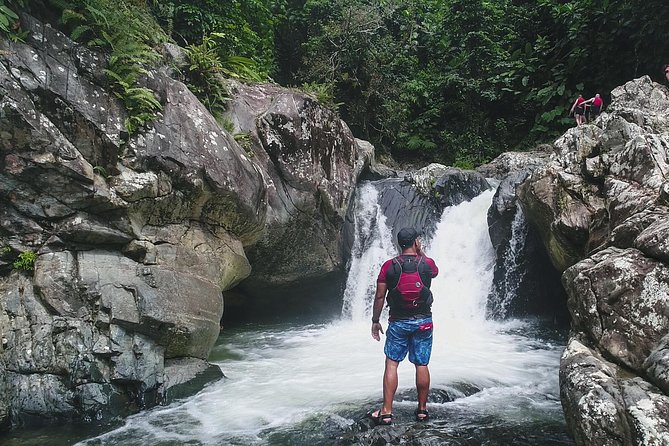 Hike El Yunque Rainforest and Kayak Bio Bay Combo Tour - A full day from San Juan to the rainforest