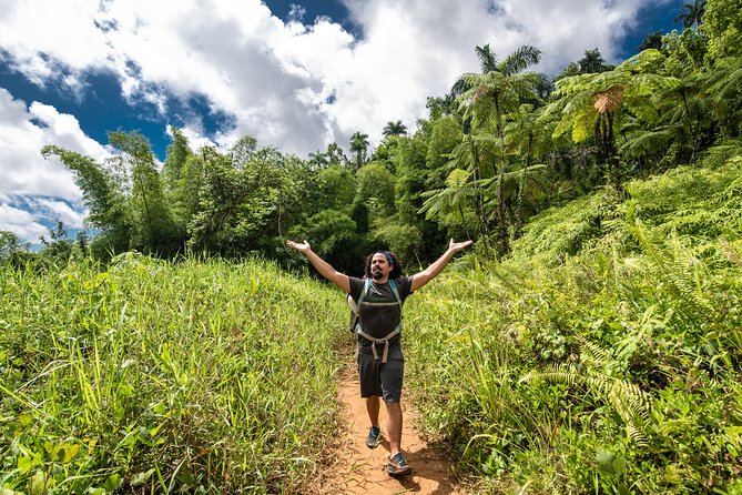 Hike El Yunque Rainforest and Kayak Bio Bay Combo Tour - Lunch and the long pause between activities