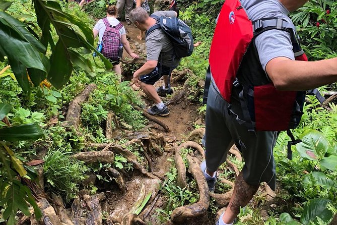 Hike El Yunque Rainforest and Kayak Bio Bay Combo Tour - Weather, crowds, and the parts you cannot control