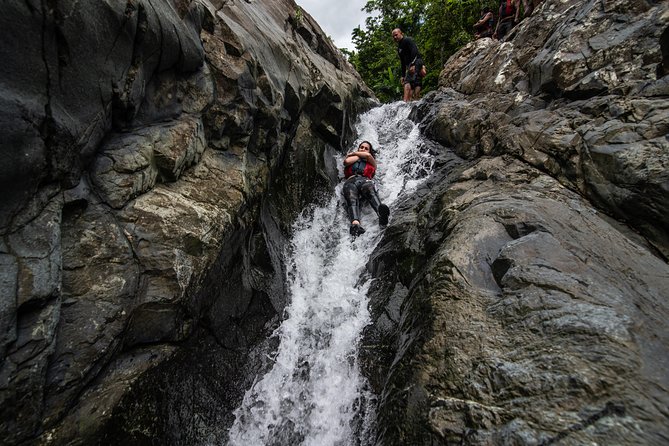 Hike El Yunque Rainforest and Kayak Bio Bay Combo Tour - Who should book this Puerto Rico combo?
