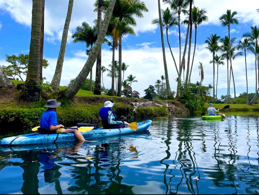 Hilo: Wailoa River to King Kamehameha Guided Kayaking Tour - Starting at Wailoa River in Hilo