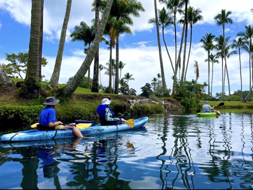 Hilo: Wailoa River to King Kamehameha Guided Kayaking Tour - Is $125 a fair price for one hour?