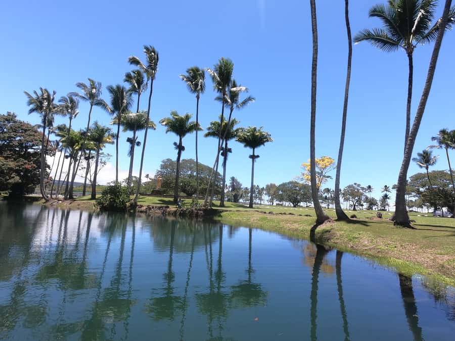 Hilo: Wailoa River to King Kamehameha Guided Kayaking Tour - Practical tips for a smoother outing