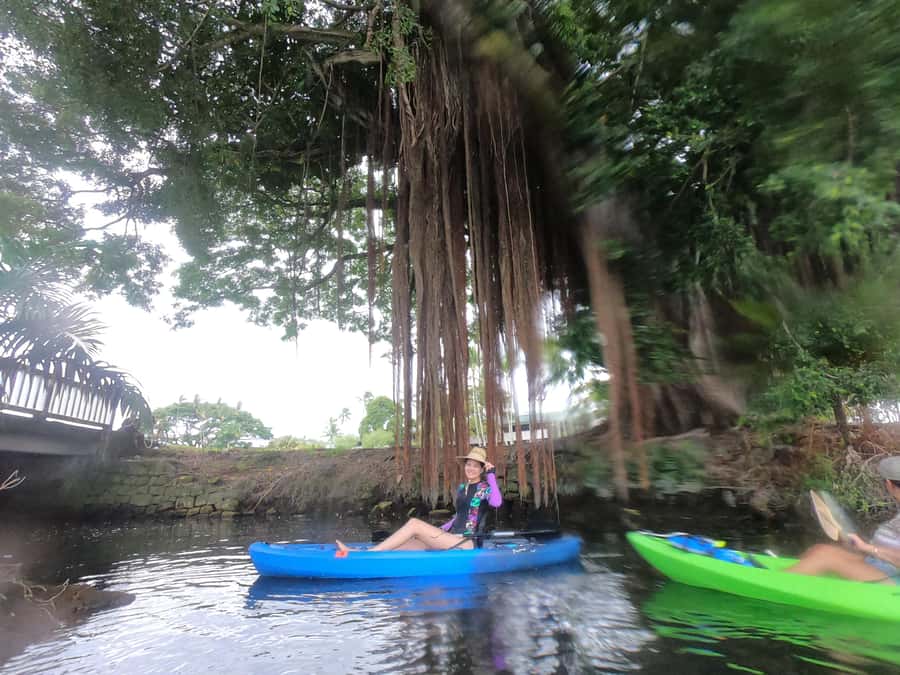 Hilo: Wailoa River to King Kamehameha Guided Kayaking Tour - A gentle paddle for beginners