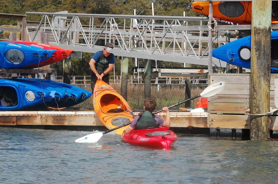 Hilton Head: 2-Hour Kayak Dolphin Nature Tour - The dolphin question