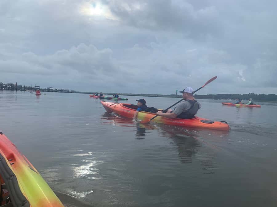 Hilton Head: 2-Hour Kayak Dolphin Nature Tour - A beginner-friendly trip with a few physical demands