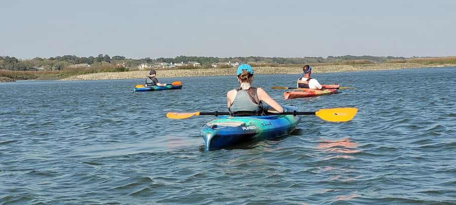 Hilton Head: 2-Hour Kayak Dolphin Nature Tour - What the $47 price includes