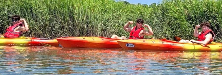 Hilton Head: 2-Hour Kayak Dolphin Nature Tour - Where this tour works best