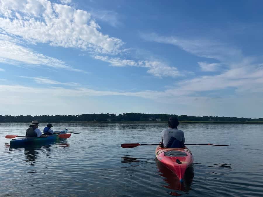 Hilton Head: 2-Hour Kayak Dolphin Nature Tour - Practical packing advice