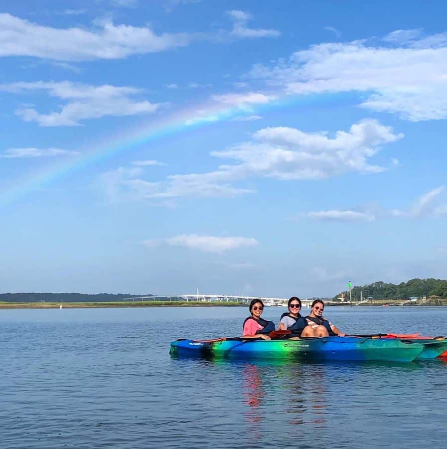 Hilton Head: 2-Hour Kayak Dolphin Nature Tour - Two hours through Hilton Head’s marshes