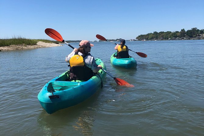 Hilton Head Guided Kayak Eco Tour - Key points to know before you book