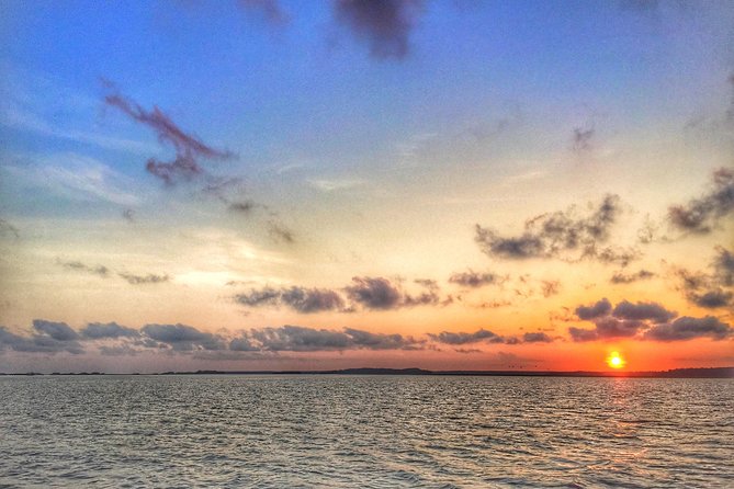 Hilton Head Guided Kayak Eco Tour - Hilton Head Island Beach is part of the wider view