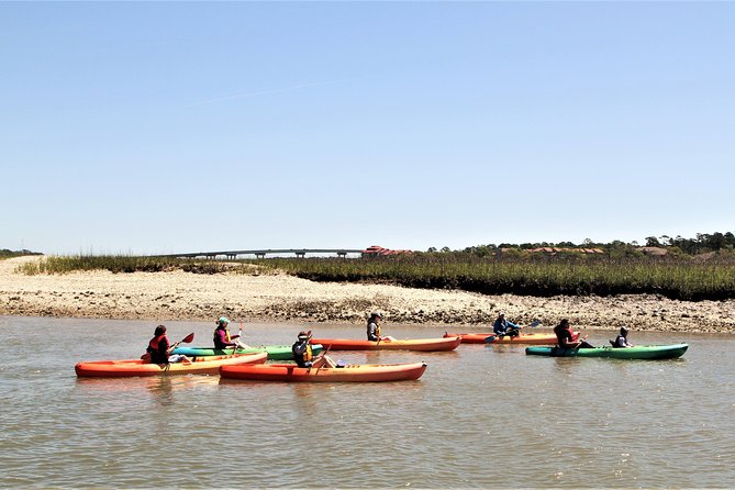 Hilton Head Guided Kayak Eco Tour - Dolphins and birds are possible rewards, not guarantees