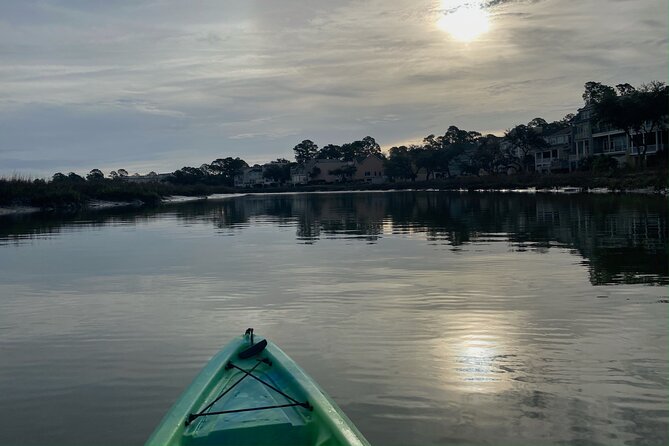Hilton Head Guided Kayak Eco Tour - Is $45 a good value?