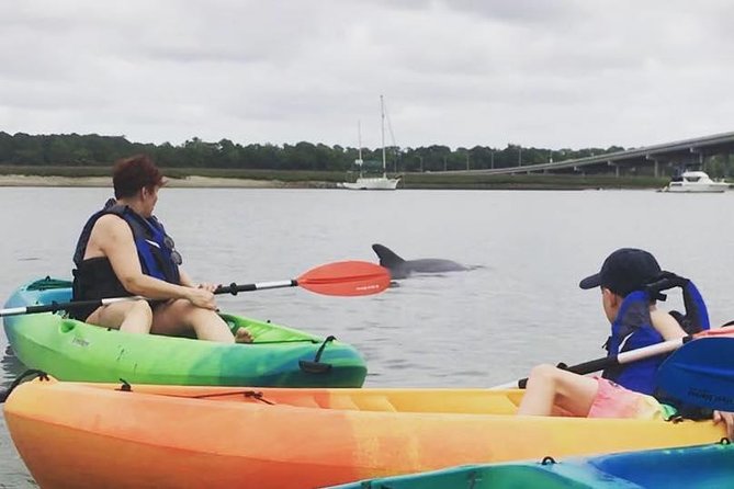 Hilton Head Guided Kayak Eco Tour - The paddle clinic helps beginners get comfortable