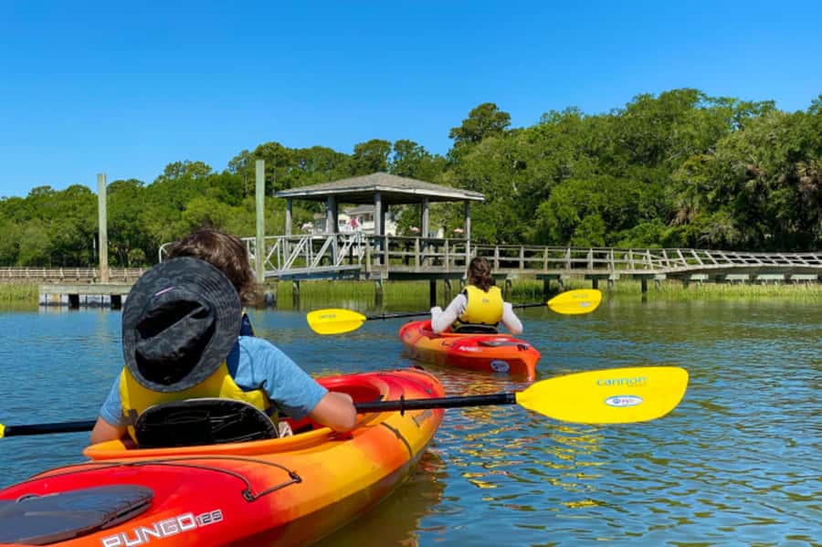 Hilton Head: Guided Kayak Nature Tour with Wildlife Spotting - A naturalist guide turns scenery into a lesson
