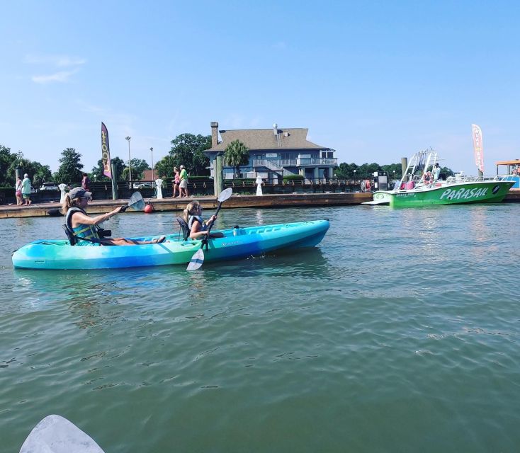 Hilton Head: Guided Kayak Sunrise or Sunset Tour - Choosing sunrise or sunset