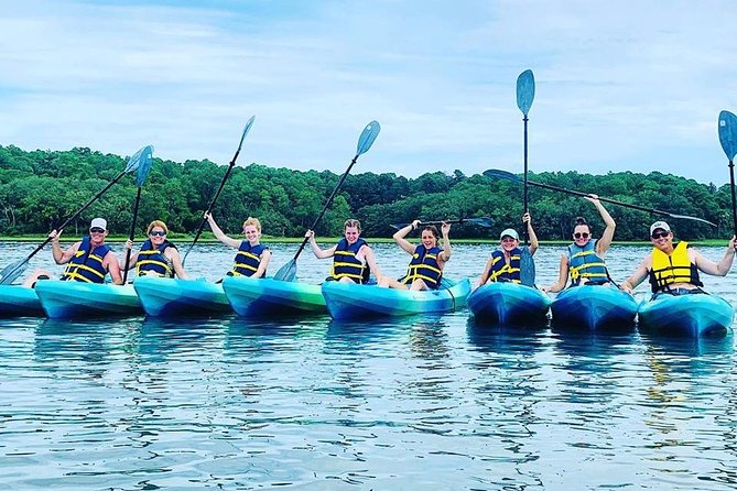 Hilton Head Guided Kayak Tour - What makes this Hilton Head kayak trip worth considering