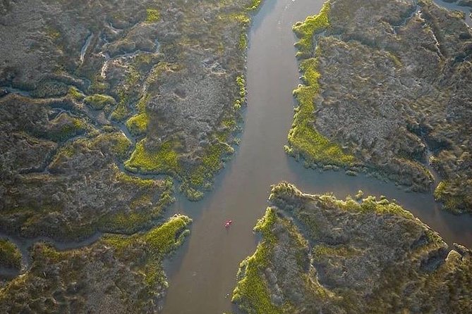 Hilton Head Guided Kayak Tour - Guides can make or break the experience