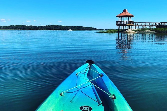 Hilton Head Guided Kayak Tour - How hard is the paddling?