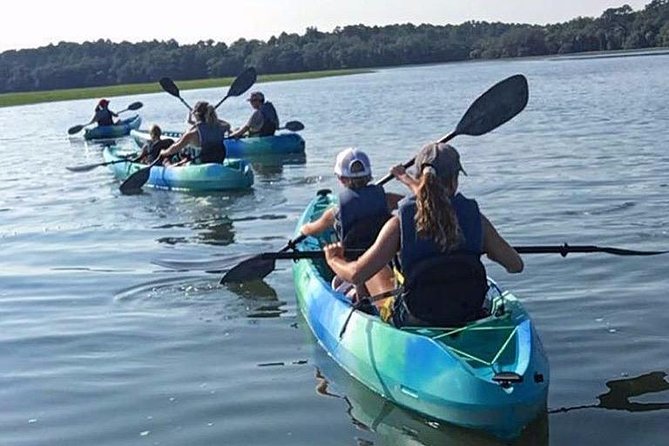 Hilton Head Guided Kayak Tour - The dolphin question: exciting, but never promised