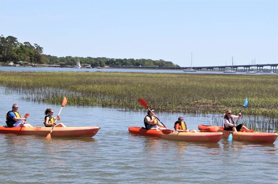 Hilton Head Island: 1.5-Hour Guided Small-Group Kayak Tour - Bird watching from a kayak