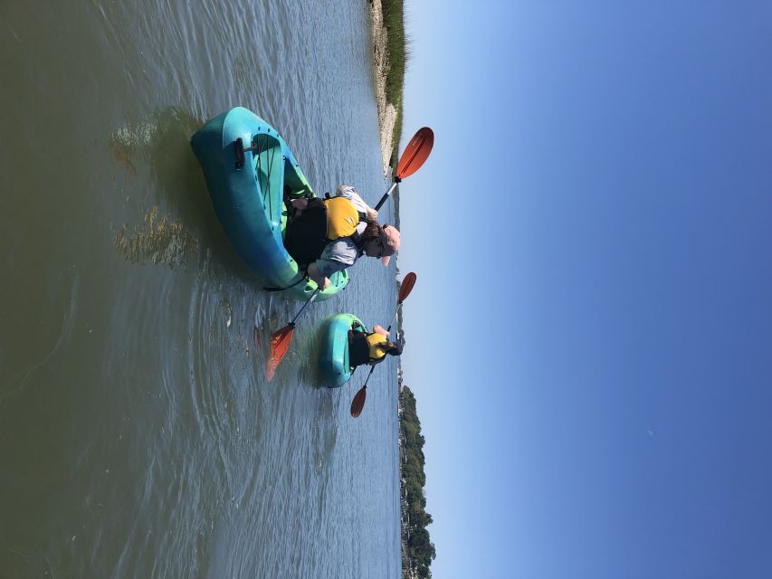 Hilton Head Island: 1.5-Hour Guided Small-Group Kayak Tour - The guides are the heart of the outing