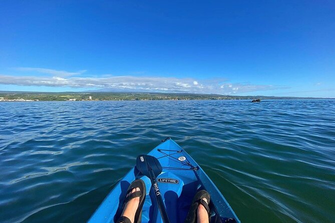 Historic Hilo Bay and Coconut Island Guided Kayak Adventure - What this Hilo paddle is really like
