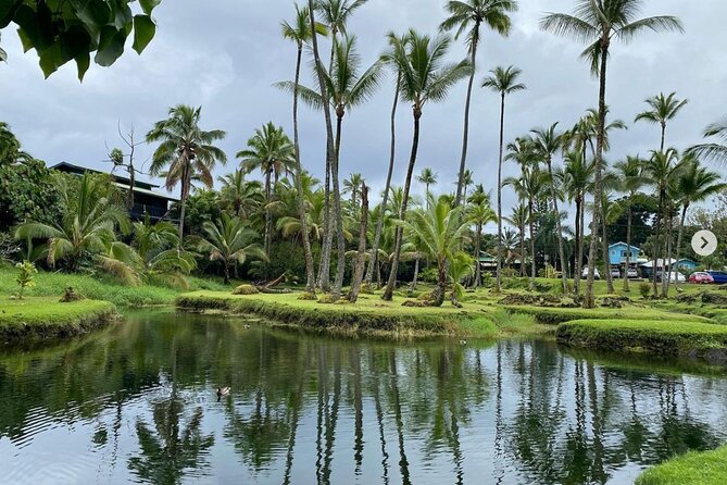 Historic Hilo Bay and Coconut Island Guided Kayak Adventure - Coconut Island and the meaning of Moku Ola