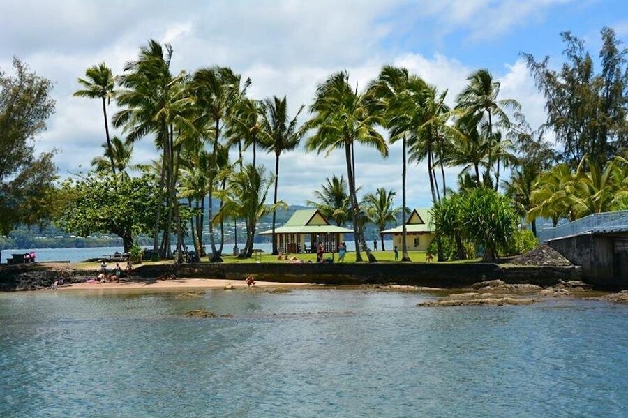 Historic Hilo Bay and Coconut Island Guided Kayak Adventure - Rain, turtles, and what you may see