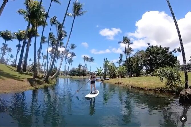 Historic Hilo Bay & Coconut Island SUP Adventure - Coves, tide pools, and distant volcanoes