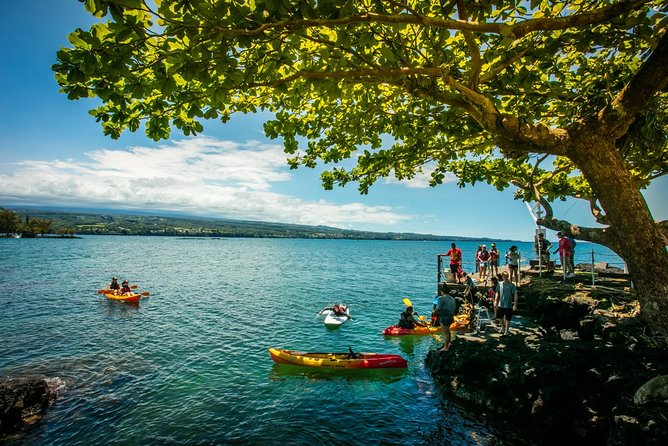 Historic Hilo Bay Waterfalls by Kayak - Rivers, beaches, and the waterfall question