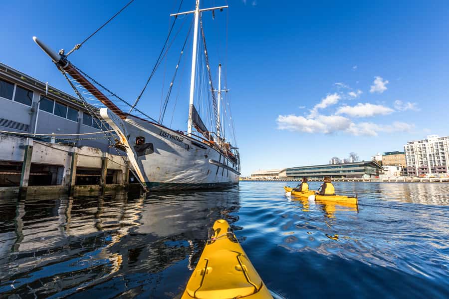 Hobart City 2.5-Hour Kayak Tour - Fish and chips without leaving the kayak
