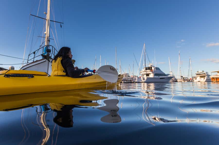 Hobart City 2.5-Hour Kayak Tour - How much paddling should you expect?