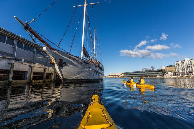 Hobart Kayak Tour - The 7-hour cliffs, caves, and beaches option