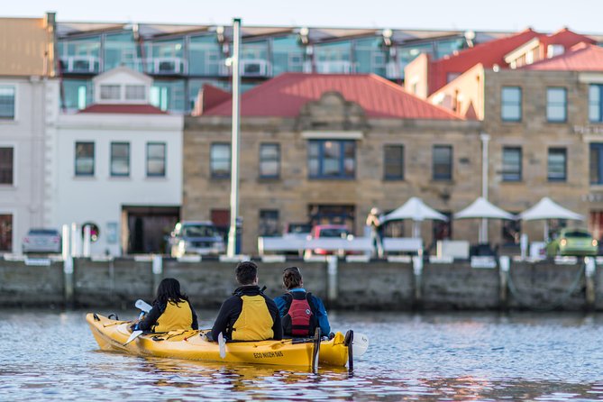 Hobart Kayak Tour - How much value do you get for $179?