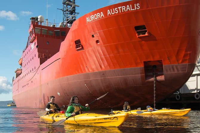 Hobart Kayak Tour - Who should book the Hobart kayak tour?