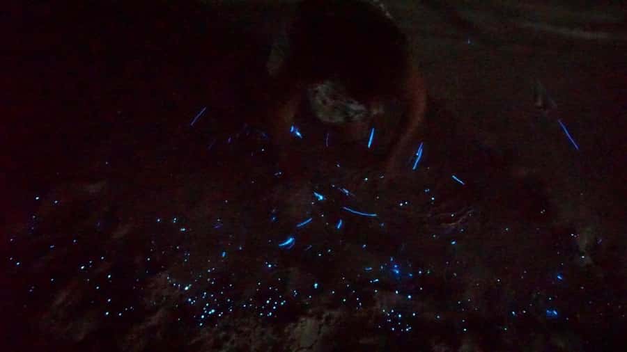Holbox: Bioluminescence by Kayak and Stargazing. - Stars above, darkness around you