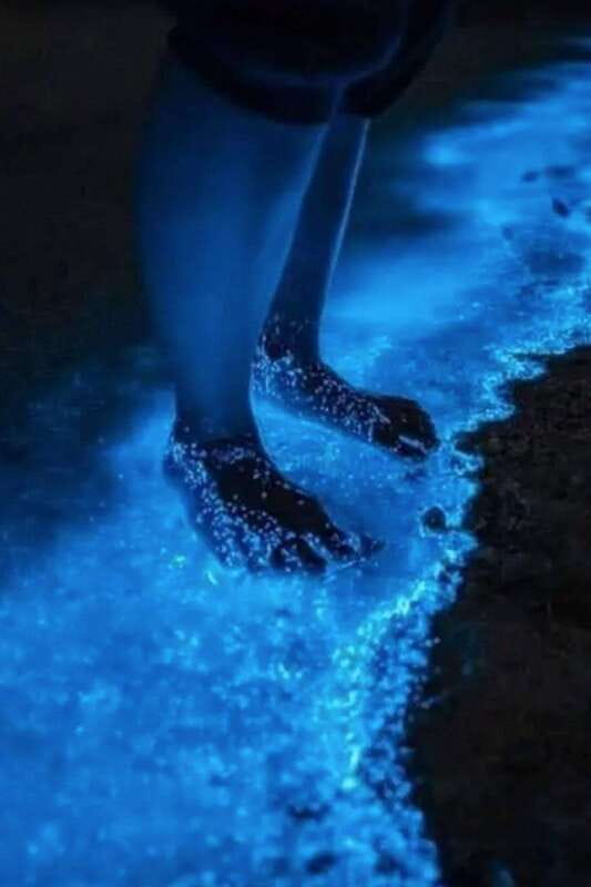 Holbox: Guided Bioluminescence Kayaking Tour - Leaving Holbox’s town lights behind