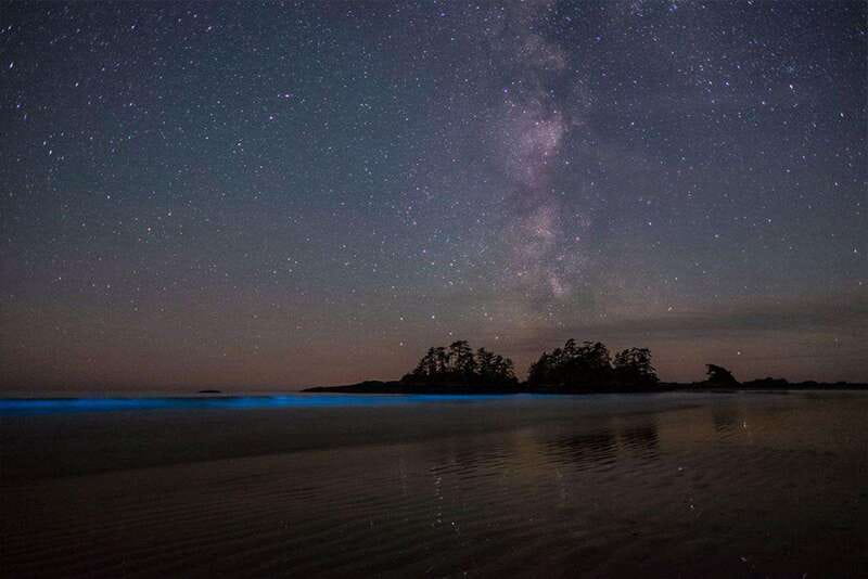Holbox: Guided Bioluminescence Kayaking Tour - Watching stars over Holbox