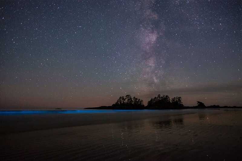 Holbox: Guided Bioluminescence Kayaking Tour - Seeing the water glow around your paddle