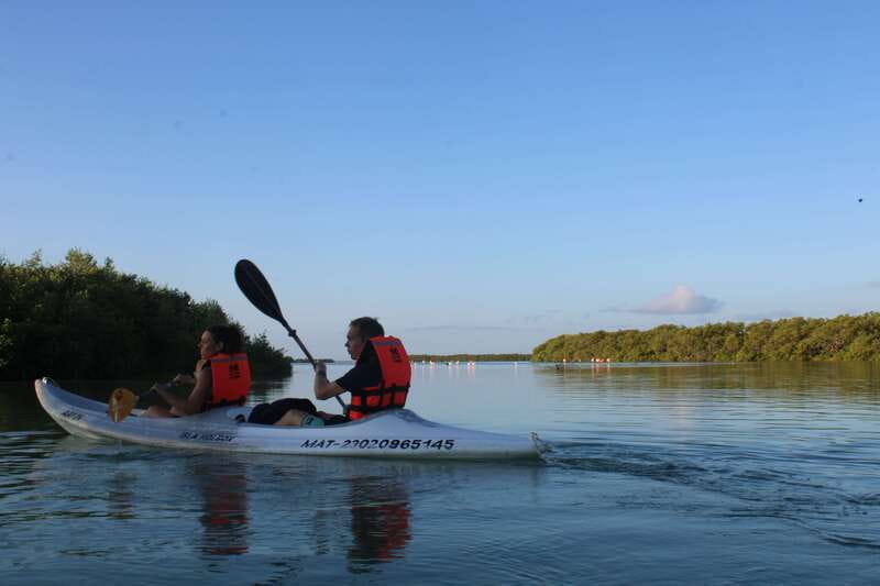 Holbox: Guided Sunrise/Sunset Kayak Tour by Mangrove Reserve - Five things to know before you paddle