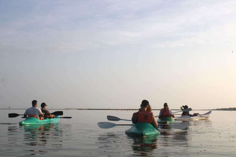 Holbox: Guided Sunrise/Sunset Kayak Tour by Mangrove Reserve - Why Holbox’s mangroves are worth an early start
