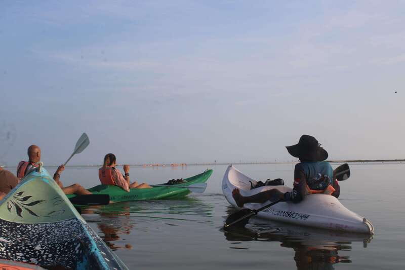 Holbox: Guided Sunrise/Sunset Kayak Tour by Mangrove Reserve - A short briefing before the water