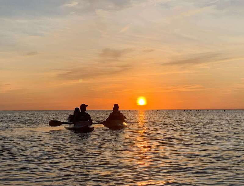 Holbox: Mangrove Sunset Kayak Tour - Key points to know before you book