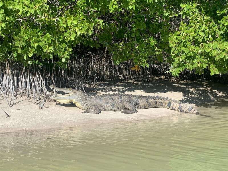 Holbox: Mangrove Sunset Kayak Tour - Entering the protected Kuká River area