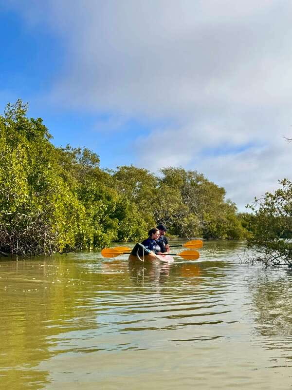 Holbox: Mangrove Sunset Kayak Tour - Wildlife without the zoo feeling
